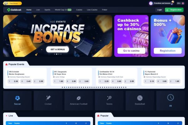 1Win Sports Casino Script ✅💯✨ - Image 6