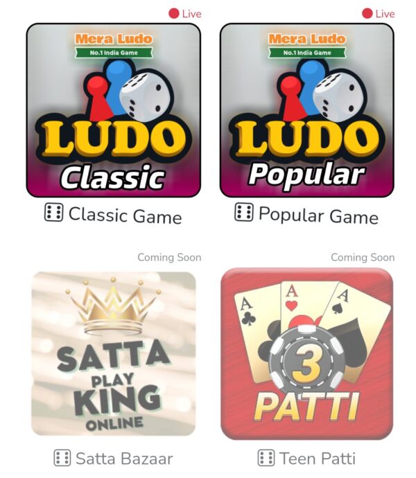 Ludo Turnament site development (script, Setup)